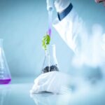 Científico vertiendo líquido en un matraz con planta para un experimento de laboratorio. Mehul Patel / Pexels