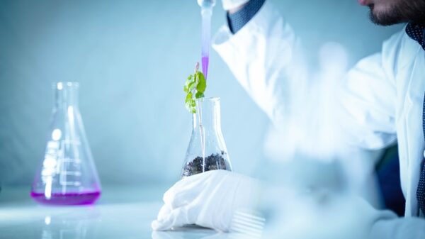 Científico vertiendo líquido en un matraz con planta para un experimento de laboratorio. Mehul Patel / Pexels