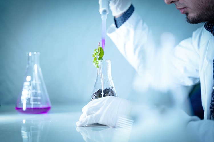 Científico vertiendo líquido en un matraz con planta para un experimento de laboratorio. Mehul Patel / Pexels