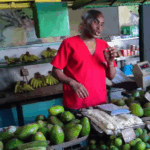 Hoy alguien decidió que no puedo salir a comprar un aguacate. Y el aguacate, de pronto, adquiere una inesperada dimensión política. / 14ymedio