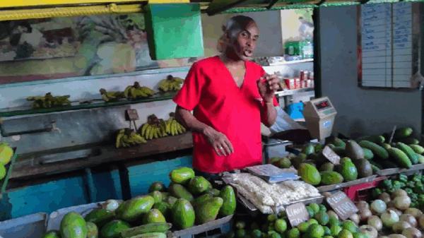Hoy alguien decidió que no puedo salir a comprar un aguacate. Y el aguacate, de pronto, adquiere una inesperada dimensión política. / 14ymedio