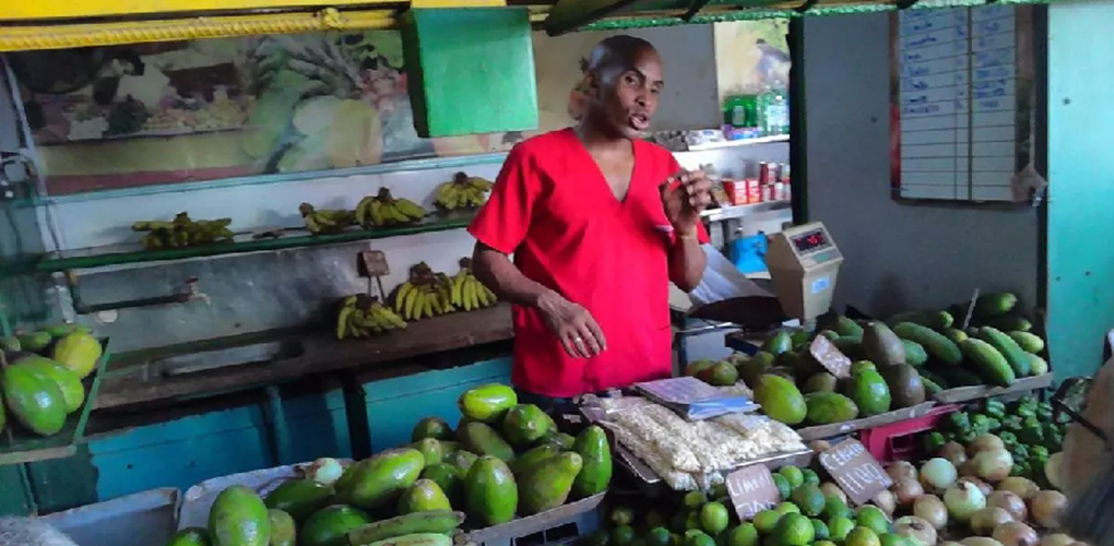 Hoy alguien decidió que no puedo salir a comprar un aguacate. Y el aguacate, de pronto, adquiere una inesperada dimensión política. / 14ymedio